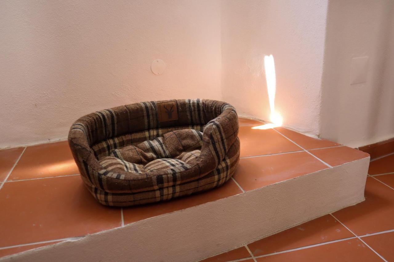 Ti8-Travessa Das Invernas 8 Évora Extérieur photo